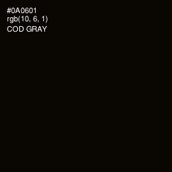 #0A0601 - Cod Gray Color Image